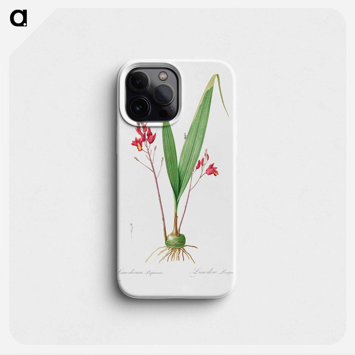 Limodorum Purpureum - Pierre Joseph Redouté Phone Case.