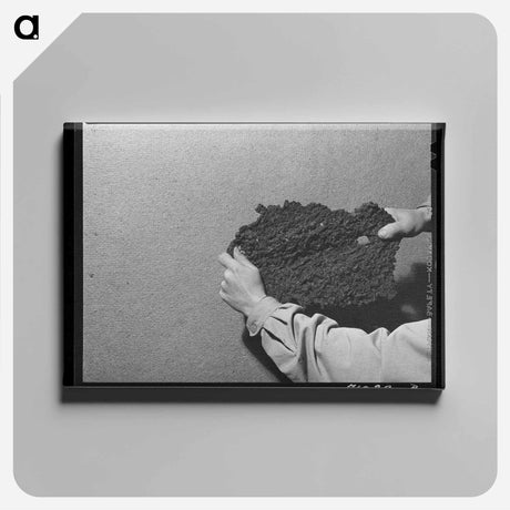 アートパネル-Wife of Pomp Hall
 - ラッセル リー Canvas.