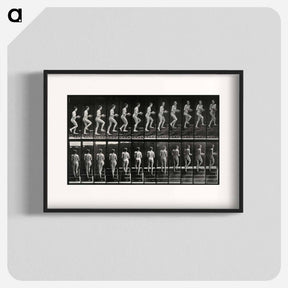アートポスター-Woman with Bowl Ascending Stairs
 - エドワード マイブリッジ Poster.