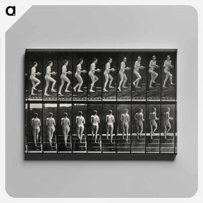 アートパネル-Woman with Bowl Ascending Stairs
 - エドワード マイブリッジ Canvas.