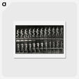 アートポストカード-Woman with Bowl Ascending Stairs
 - エドワード マイブリッジ Postcard.
