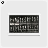 アートポストカード-Woman with Bowl Ascending Stairs
 - エドワード マイブリッジ Postcard.