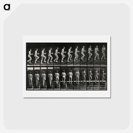 アートポストカード-Woman with Bowl Ascending Stairs
 - エドワード マイブリッジ Postcard.