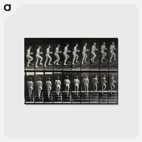 アートポストカード-Woman with Bowl Ascending Stairs
 - エドワード マイブリッジ Postcard.