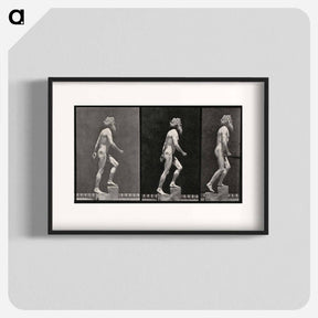 アートポスター-E. Muybridge: Motion Studies
 - エドワード マイブリッジ Poster.