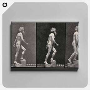 アートパネル-E. Muybridge: Motion Studies
 - エドワード マイブリッジ Canvas.
