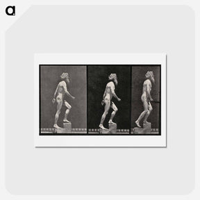 アートポストカード-E. Muybridge: Motion Studies
 - エドワード マイブリッジ Postcard.