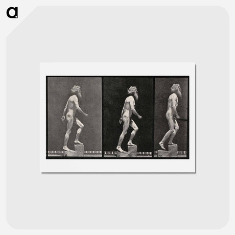 アートポストカード-E. Muybridge: Motion Studies
 - エドワード マイブリッジ Postcard.