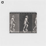 アートメモ帳-E. Muybridge: Motion Studies
 - エドワード マイブリッジ Memo.
