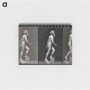 アートメモ帳-E. Muybridge: Motion Studies
 - エドワード マイブリッジ Memo.