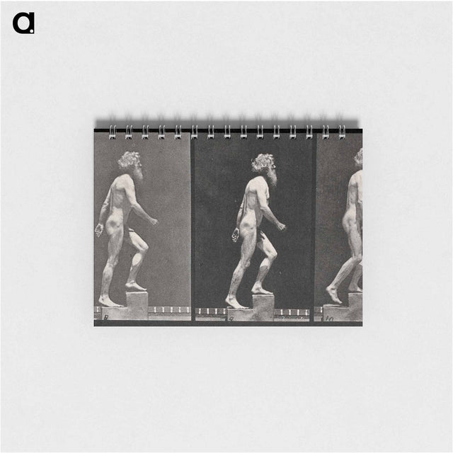 アートメモ帳-E. Muybridge: Motion Studies
 - エドワード マイブリッジ Memo.