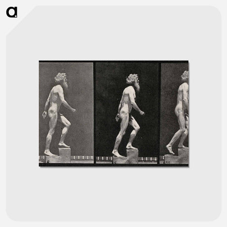 アートポストカード-E. Muybridge: Motion Studies
 - エドワード マイブリッジ Postcard.