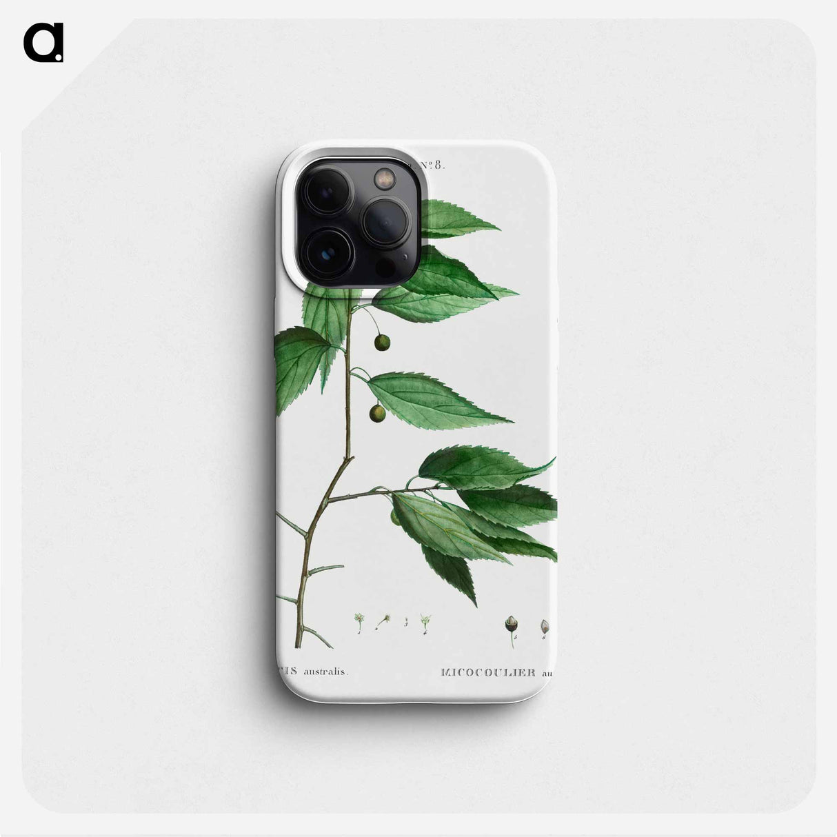 European nettle tree - ピエール ジョゼフ ルドゥーテ Phone Case.