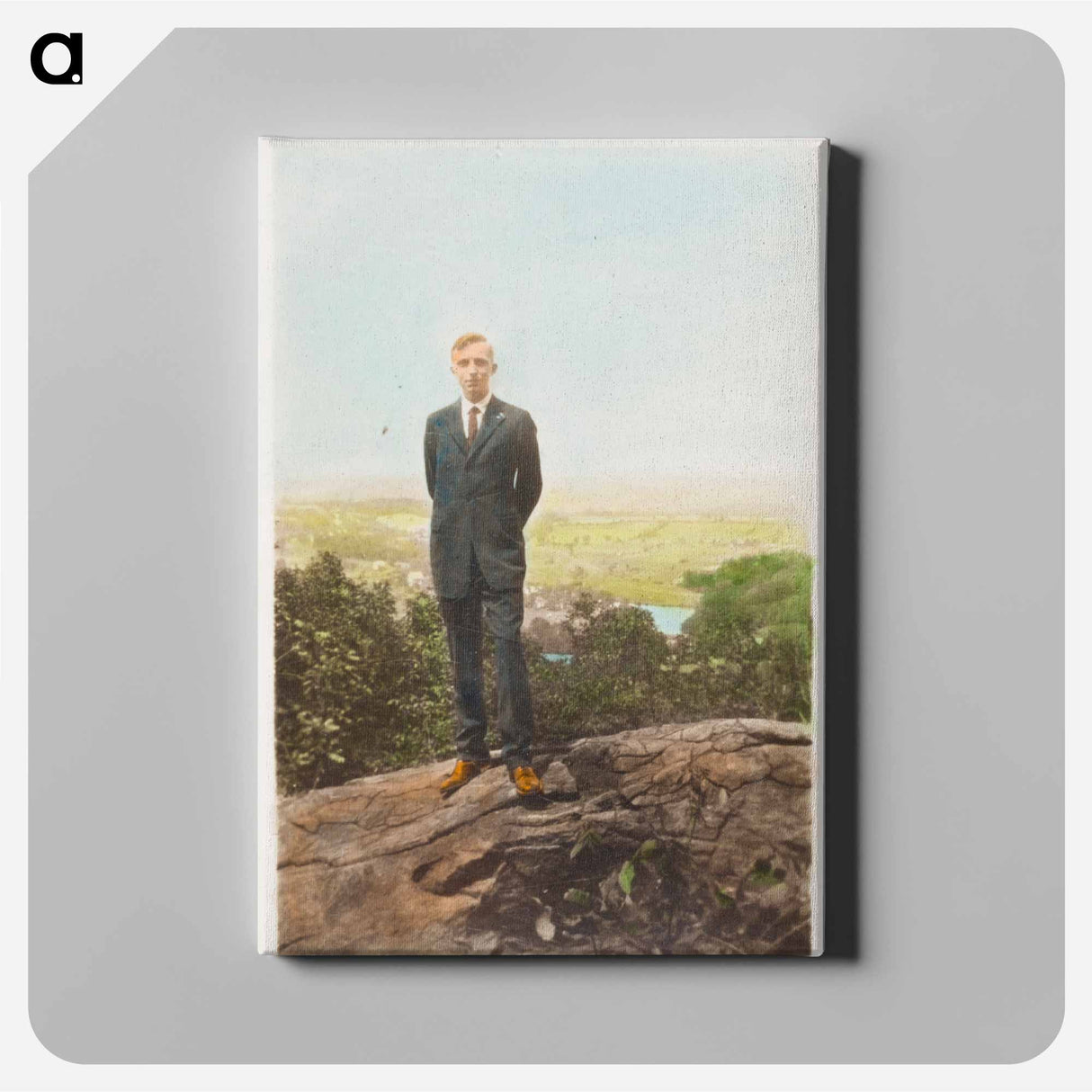 アートパネル-Scenic Overlook
 - セントルイス美術館 Canvas.
