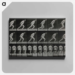 アートパネル-Man Pulling a Roller
 - エドワード マイブリッジ Canvas.