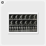 アートポストカード-Man Pulling a Roller
 - エドワード マイブリッジ Postcard.