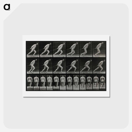 アートポストカード-Man Pulling a Roller
 - エドワード マイブリッジ Postcard.