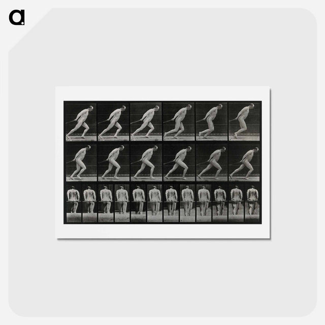 アートポストカード-Man Pulling a Roller
 - エドワード マイブリッジ Postcard.