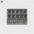 アートメモ帳-Man Pulling a Roller
 - エドワード マイブリッジ Memo.
