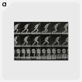 アートポストカード-Man Pulling a Roller
 - エドワード マイブリッジ Postcard.