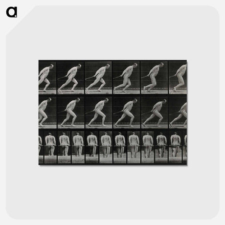 アートポストカード-Man Pulling a Roller
 - エドワード マイブリッジ Postcard.