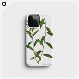 Golden willow - Pierre Joseph Redouté Phone Case.