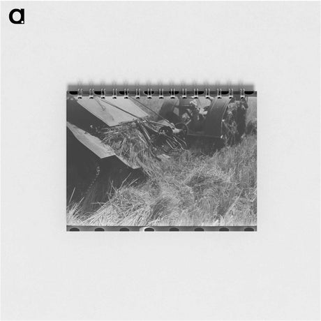 アートメモ帳-Tungsten Chief Mine Sign
 - ラッセル リー Memo.