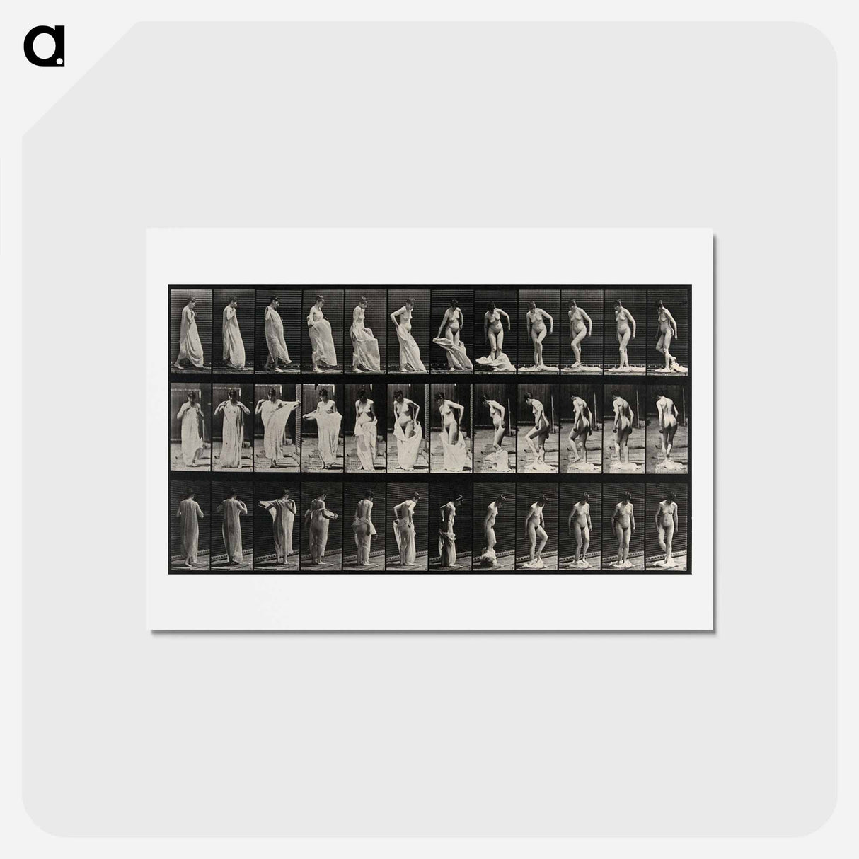 アートポストカード-Undressing
 - エドワード マイブリッジ Postcard.