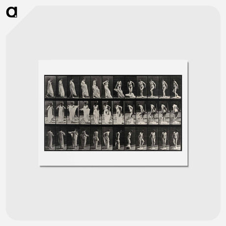 アートポストカード-Undressing
 - エドワード マイブリッジ Postcard.