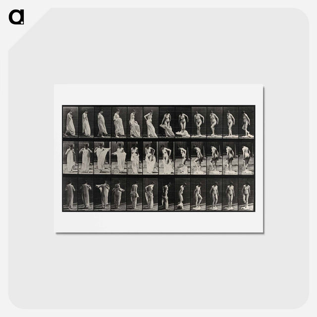 アートポストカード-Undressing
 - エドワード マイブリッジ Postcard.