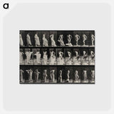 アートポストカード-Undressing
 - エドワード マイブリッジ Postcard.