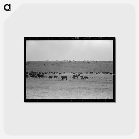 アートポストカード-Cutting Out Calves
 - ラッセル リー Postcard.