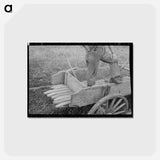 アートポストカード-Wagon on Cut-Over Farm
 - ラッセル リー Postcard.