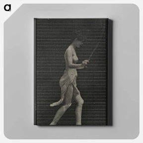 アートパネル-Skipping Woman
 - エドワード マイブリッジ Canvas.