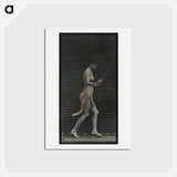 アートポストカード-Skipping Woman
 - エドワード マイブリッジ Postcard.