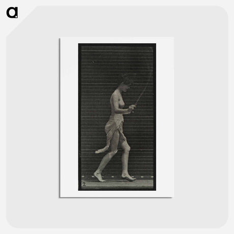アートポストカード-Skipping Woman
 - エドワード マイブリッジ Postcard.