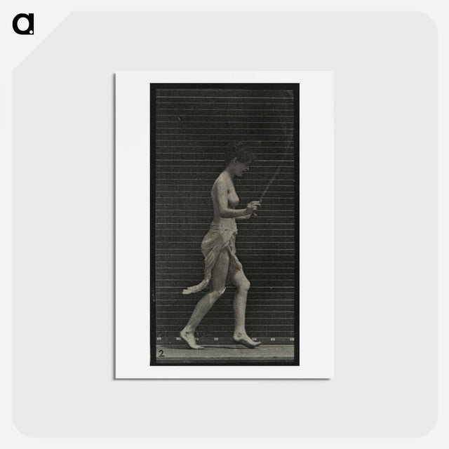 アートポストカード-Skipping Woman
 - エドワード マイブリッジ Postcard.