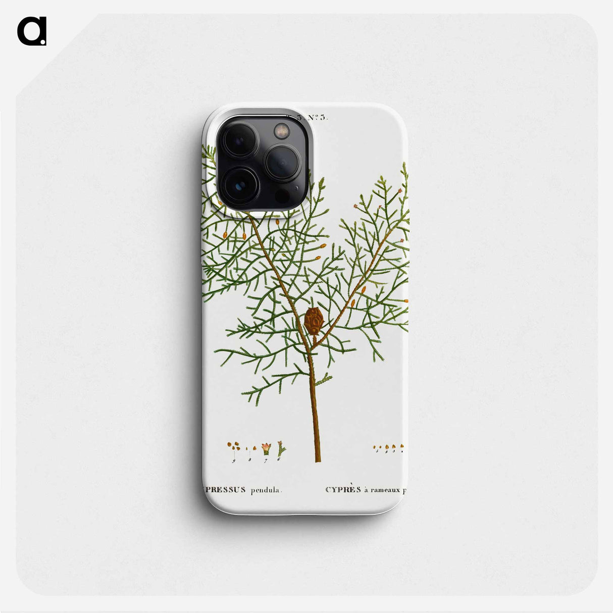 Chinese weeping cypress - Pierre Joseph Redouté Phone Case.