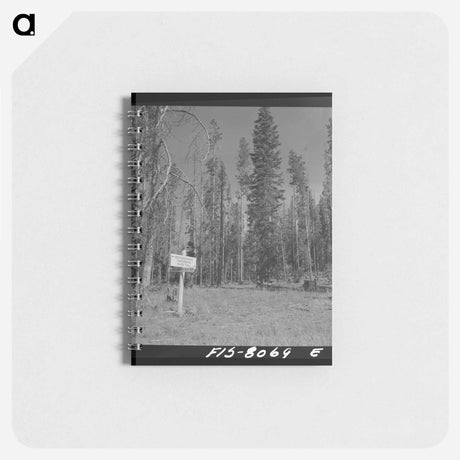 アートメモ帳-Harnessed Mule, Eufaula
 - ラッセル リー Memo.