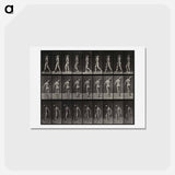 アートポストカード-Man with Load
 - エドワード マイブリッジ Postcard.