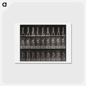 アートポストカード-Man with Load
 - エドワード マイブリッジ Postcard.