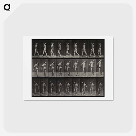 アートポストカード-Man with Load
 - エドワード マイブリッジ Postcard.