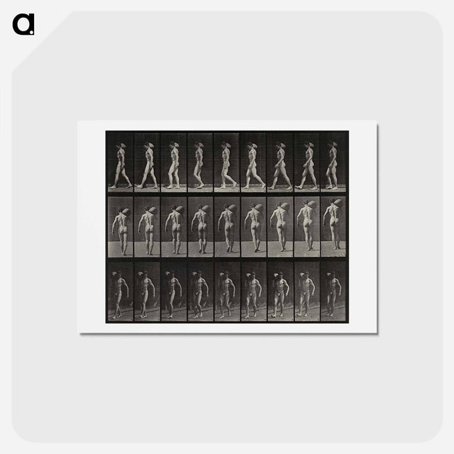 アートポストカード-Man with Load
 - エドワード マイブリッジ Postcard.