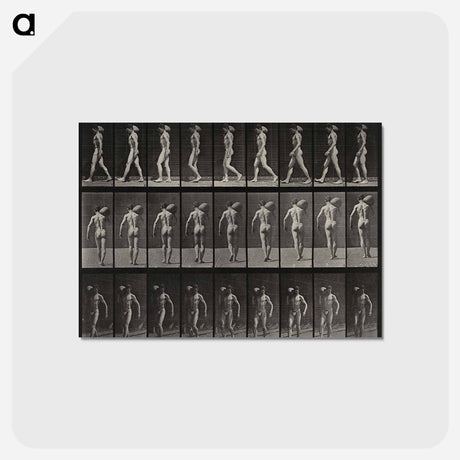 アートポストカード-Man with Load
 - エドワード マイブリッジ Postcard.