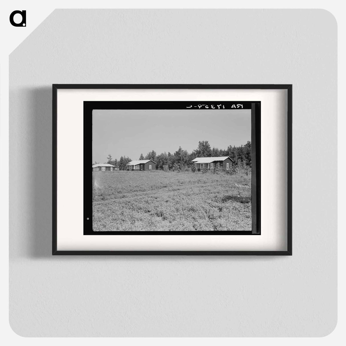 Cabins at the Delta cooperative farm - Dorothea Lange Poster.