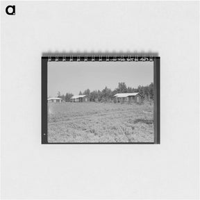 アートメモ帳-Cabins at the Delta cooperative farm - ドロテア ラング Memo.