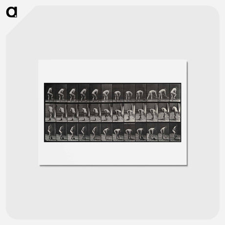 アートポストカード-The Spader
 - エドワード マイブリッジ Postcard.