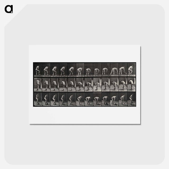 アートポストカード-The Spader
 - エドワード マイブリッジ Postcard.