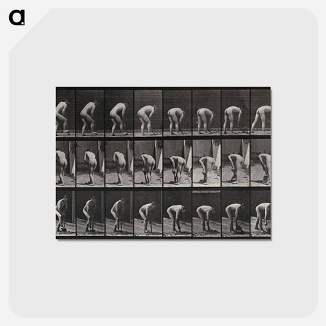 アートポストカード-The Spader
 - エドワード マイブリッジ Postcard.