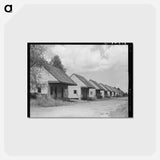 アートポストカード-Row of Cabins, Destrehan
 - ラッセル リー Postcard.